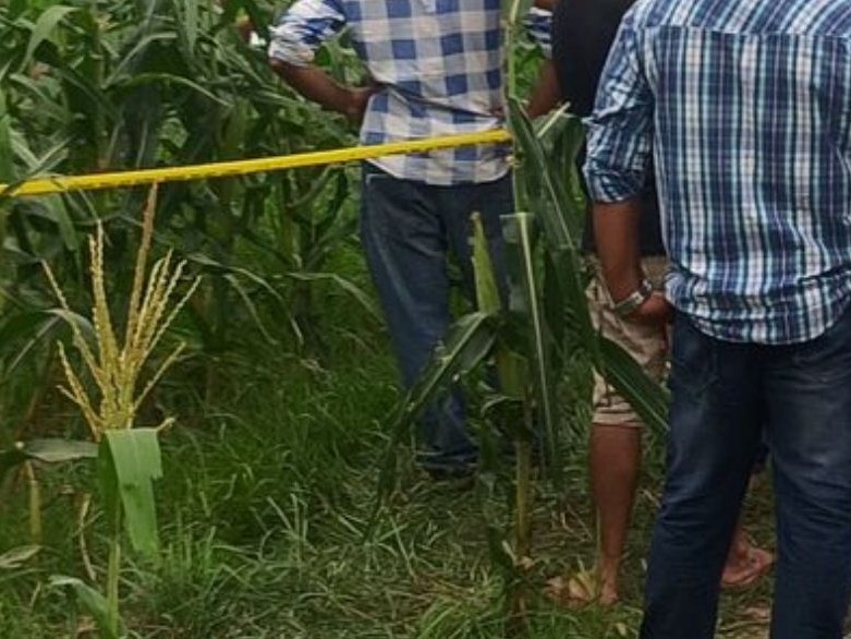 विभत्स अवस्थामा भेटियो निरु विकको शव 